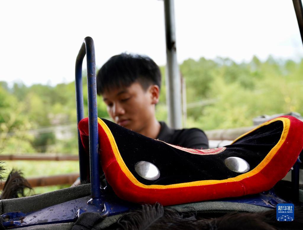 真香棋牌有几个